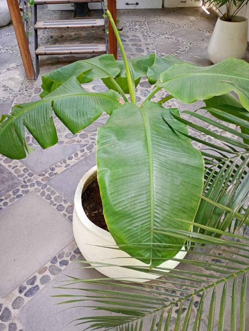 Casa Verde Hotel Santa Marta  Ngoại thất bức ảnh